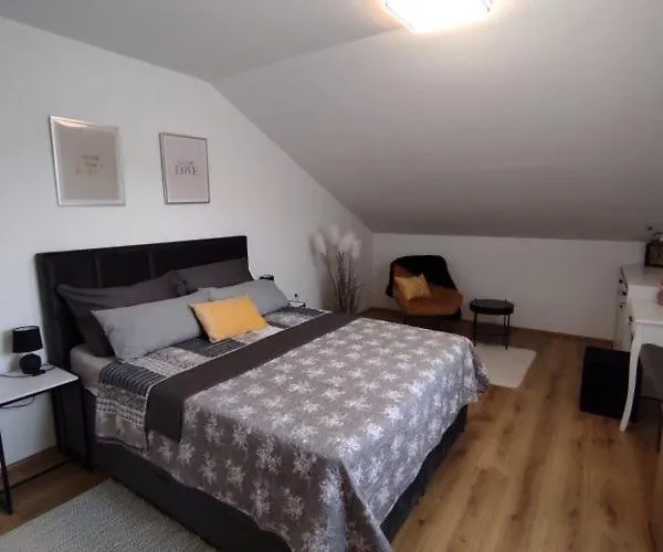 Brand New 4 Stars * 노비비노돌스키